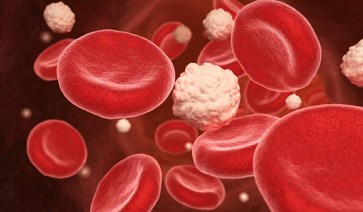 Best Supplement for Blood Sugar: Honest Review